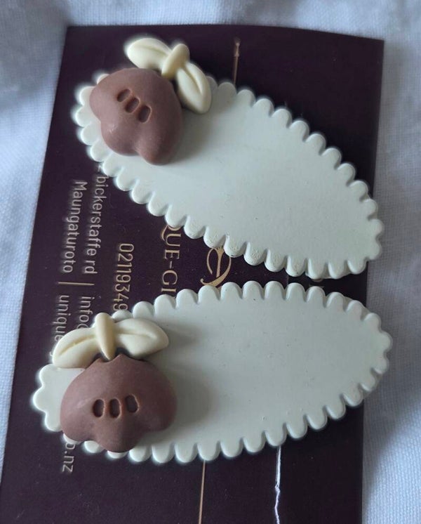 Decorative clips