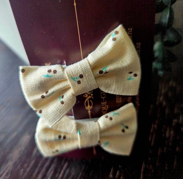 Decorative clips girls clips