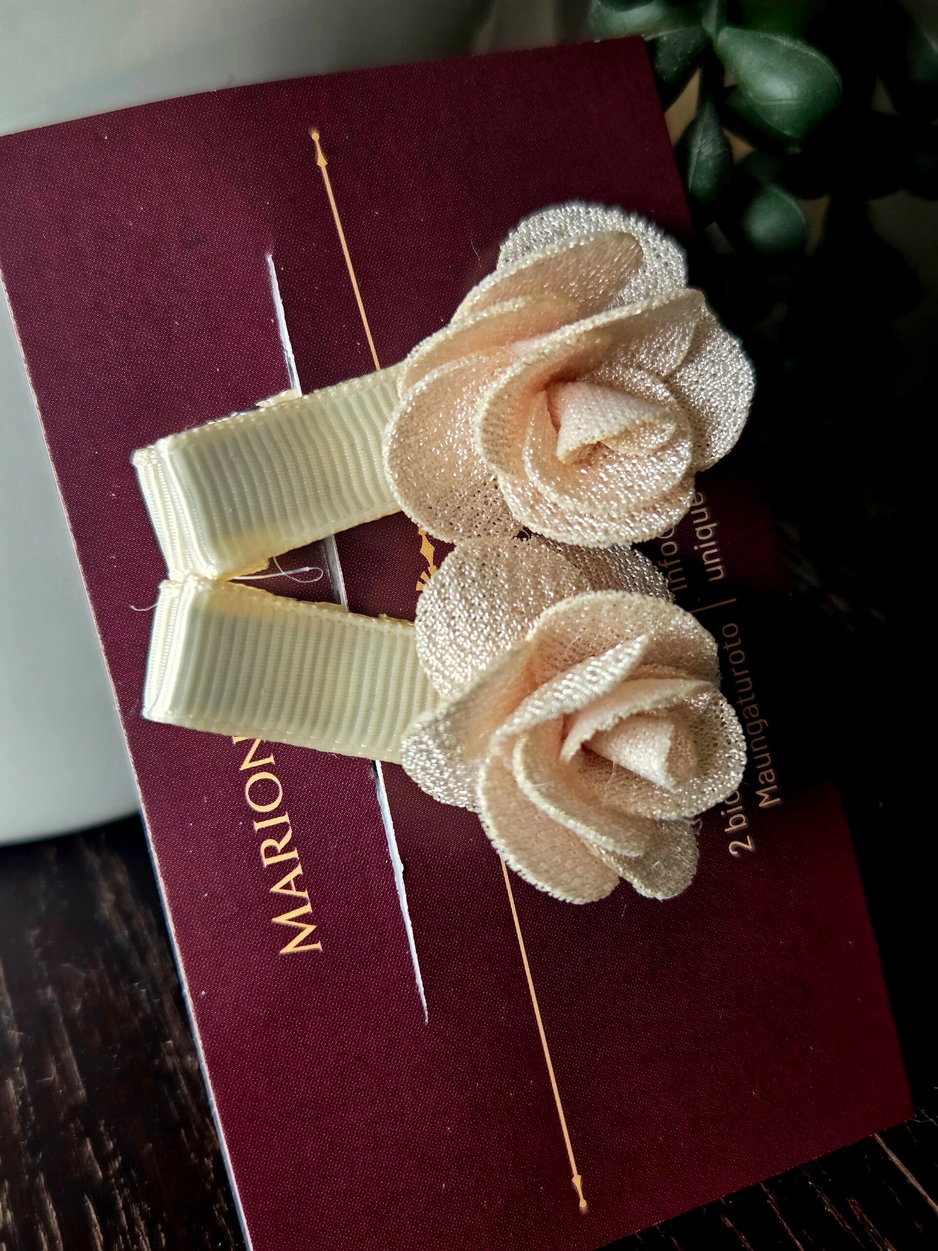 Decorative clips girls snap clip