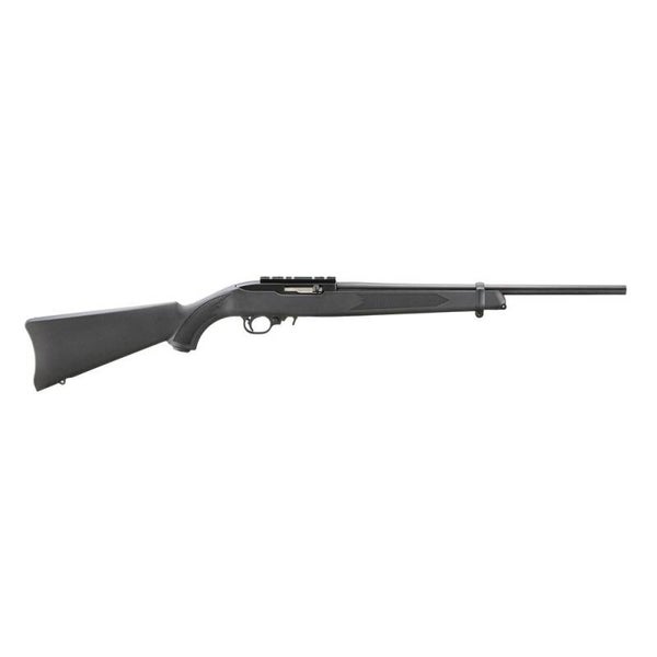 Ruger 10/22 w/ Combination Scope Mount