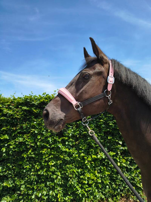 My Elite Tack Unicorn Halster