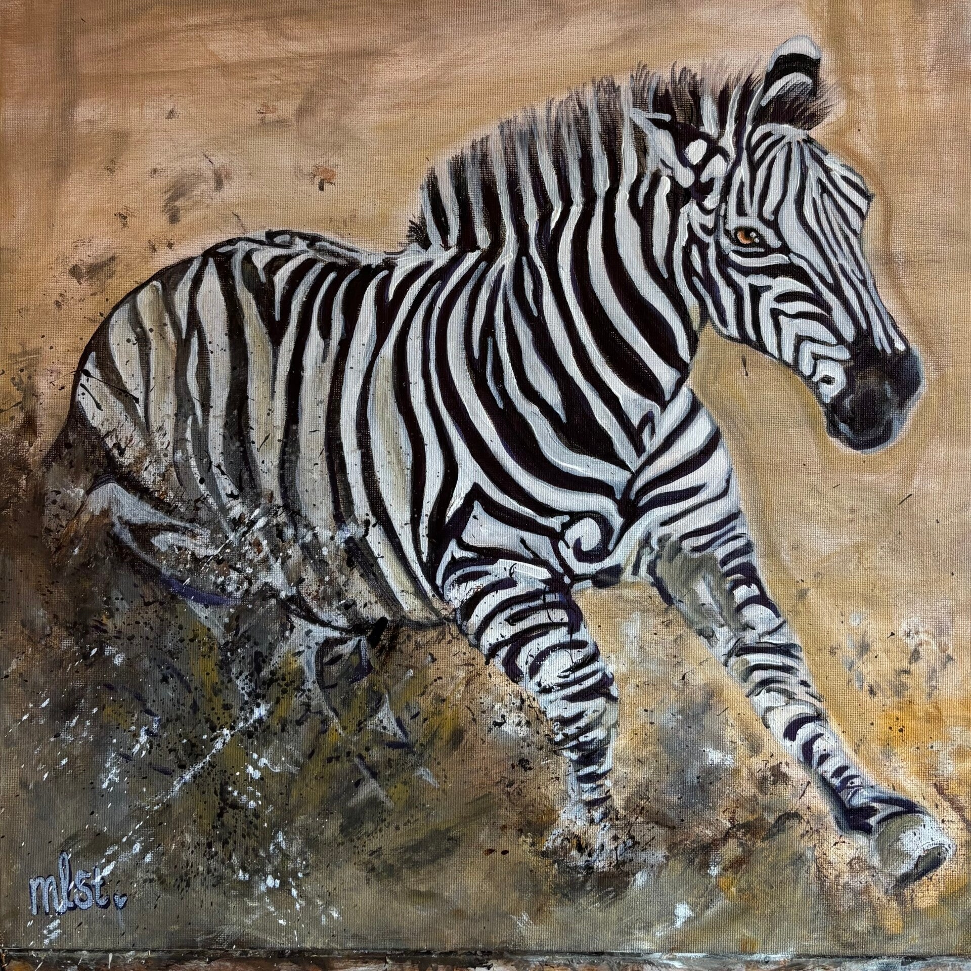 Zebra