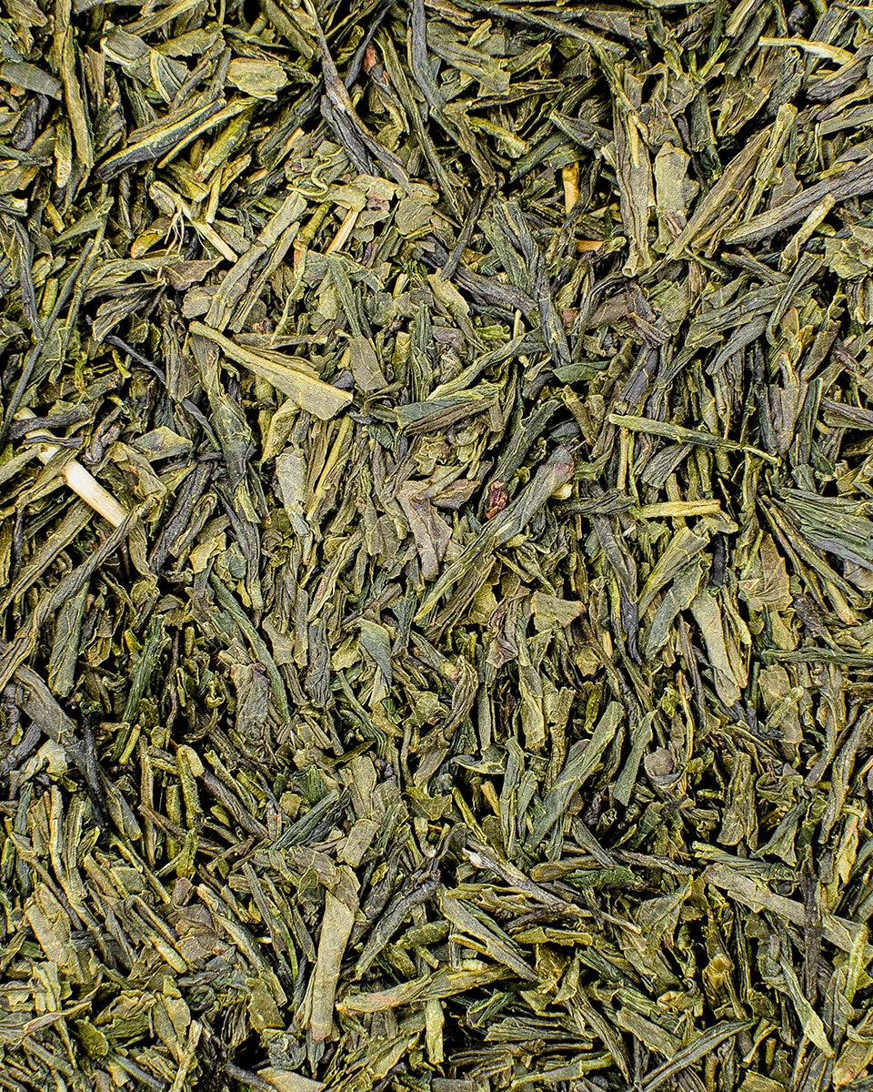 Sencha