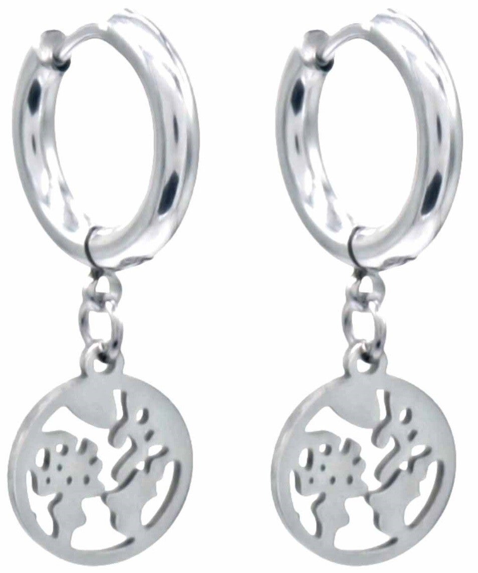 Oorbellen wereldbol hangend van RVS