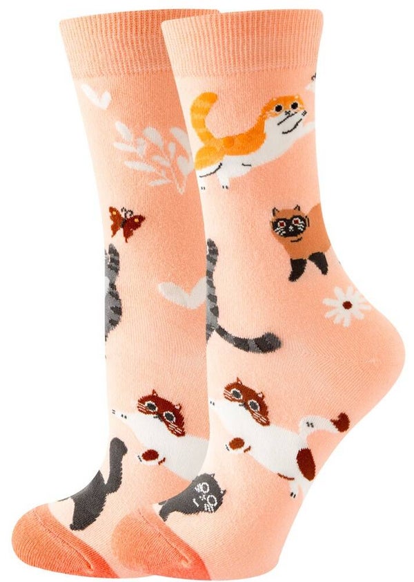 Sokken katten koraal
