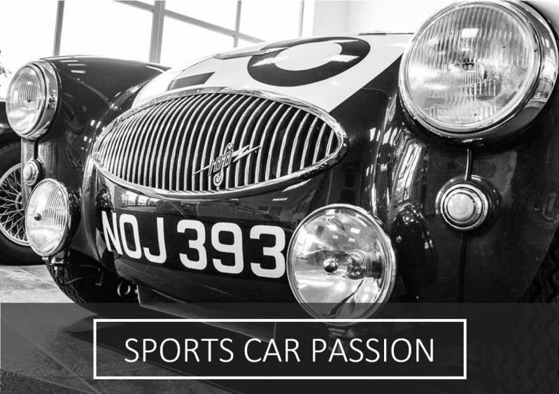 austin healey 100M, austin healey 100/4, austin healey garage, autin healy tuning, austin healey race, austing healey ralley, triumph race, triumph tr3, triumph tr2, triumph tr4, triumph tr4a, triumph tr250, triumph tr5, triumph tr6, jaguar mkII, jaguar e