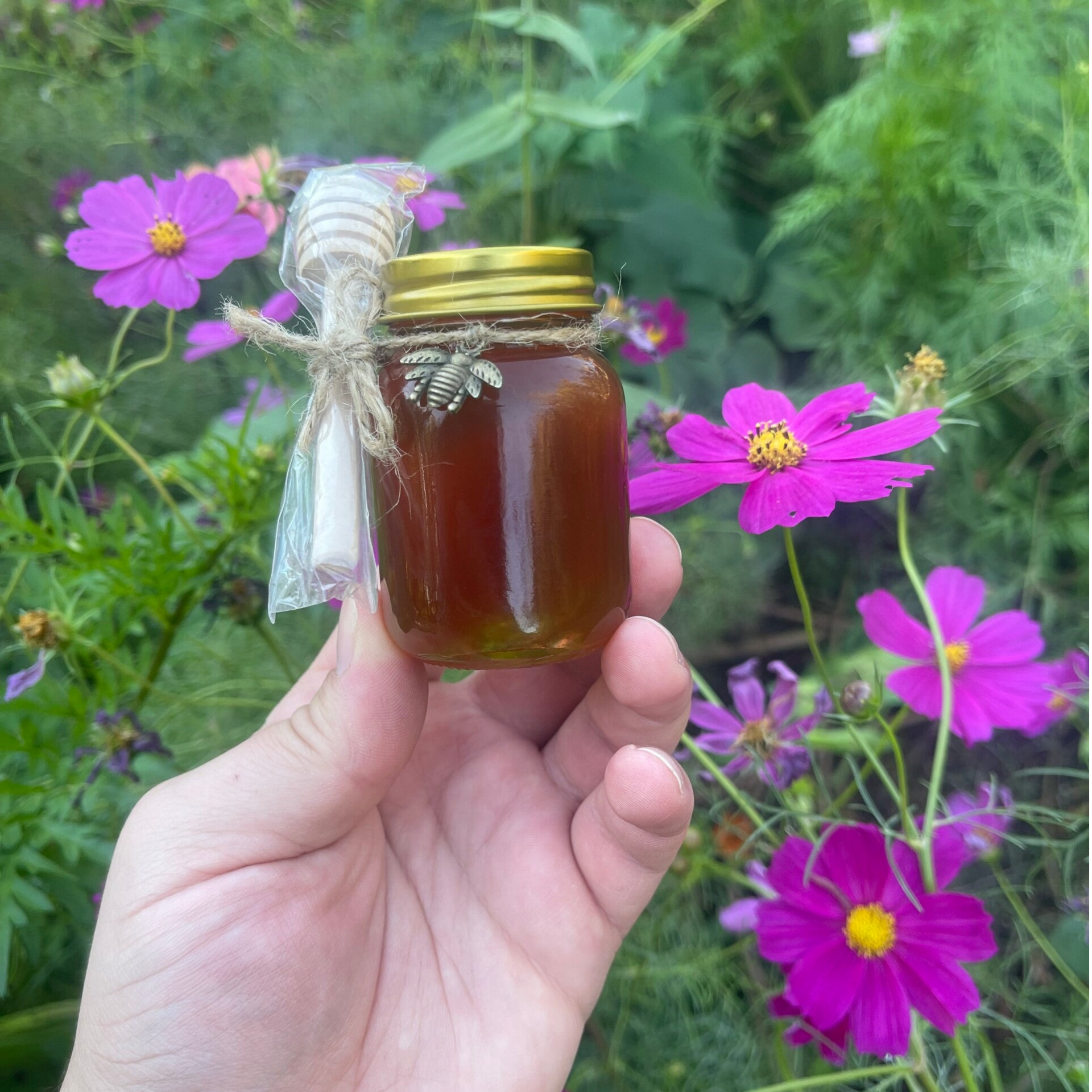 3.5 oz. Jar of Raw Honey from Sapulpa