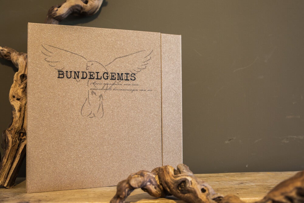 BundelGemis
