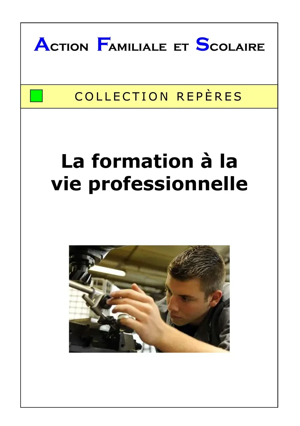 307 La formation à la vie professionelle