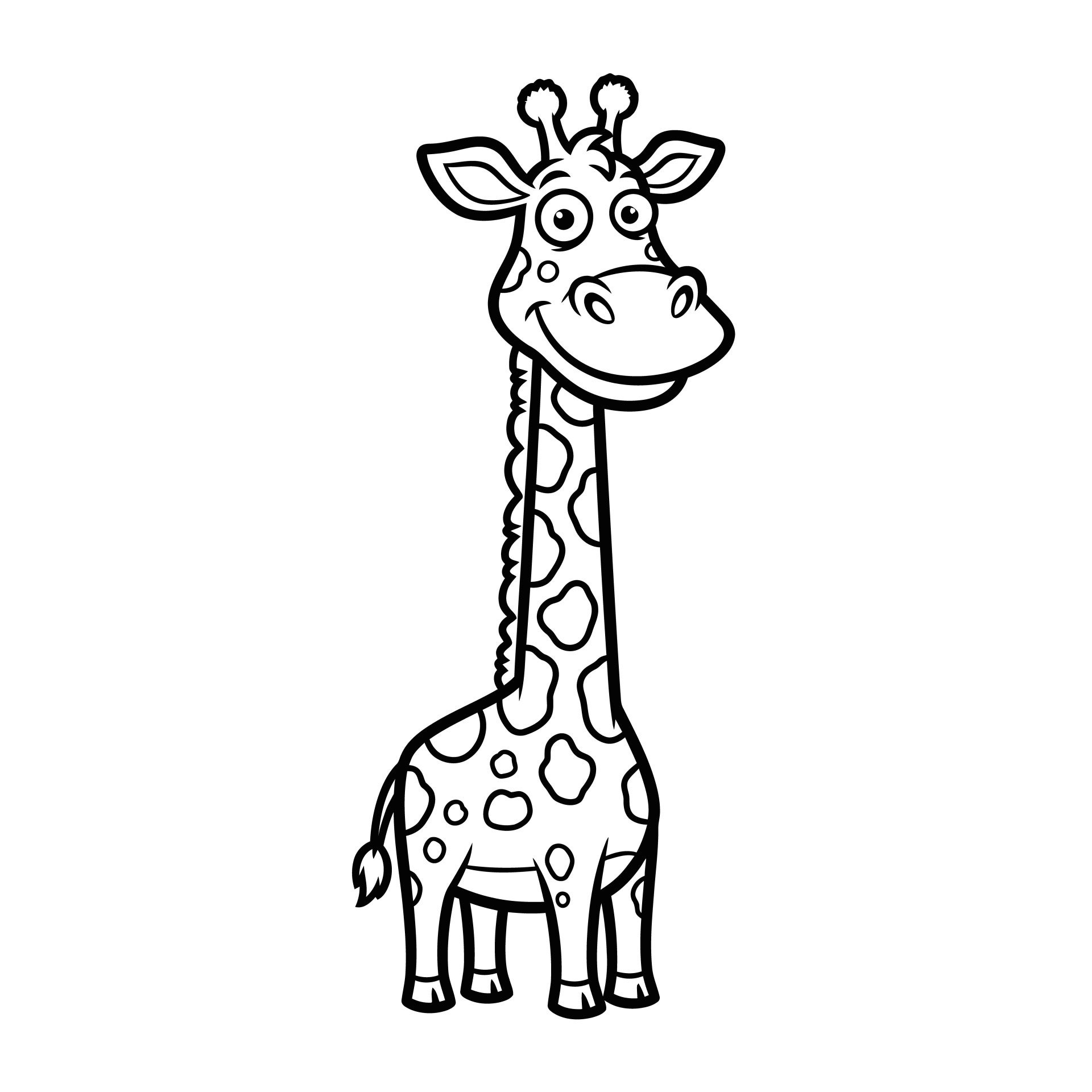 girafje-12-standard.jpg