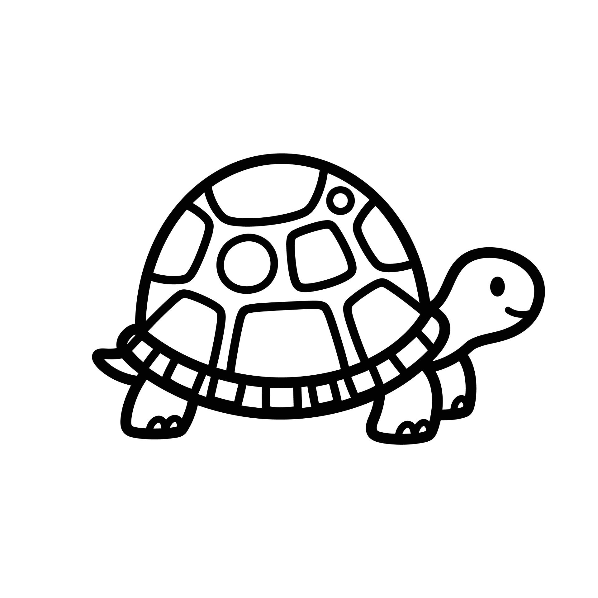 schildpad-10-standard.jpg