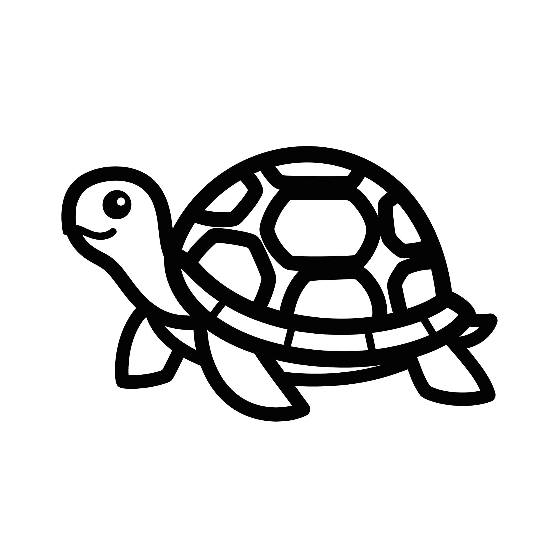 schildpad-11-standard.jpg