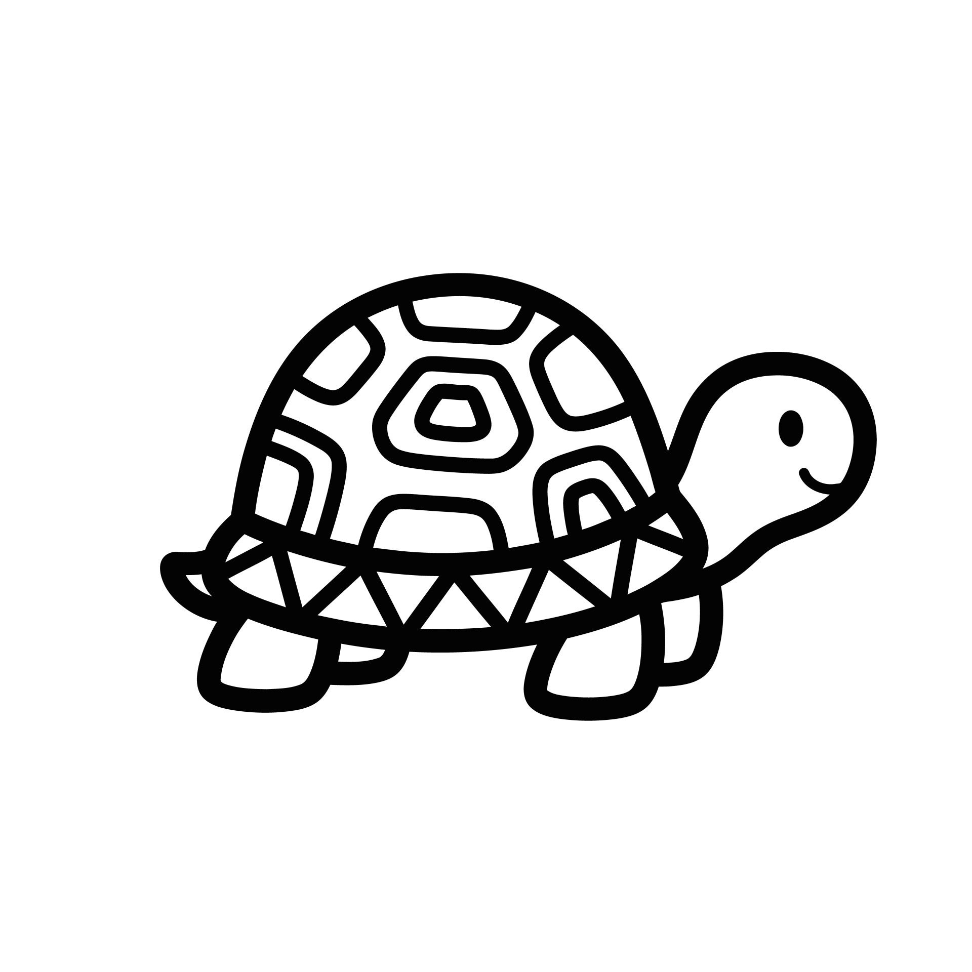 schildpad-12-standard.jpg