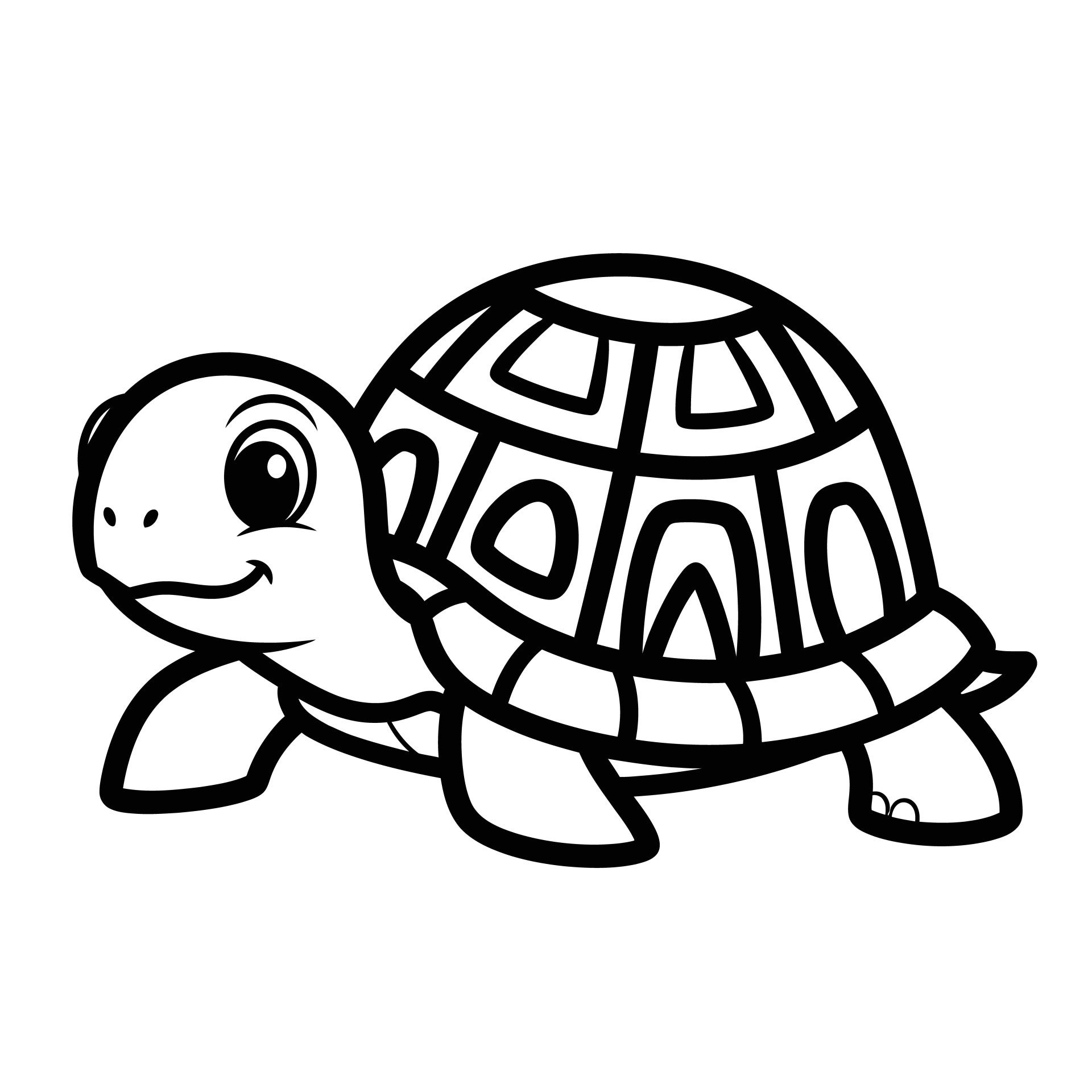schildpad-2-standard.jpg
