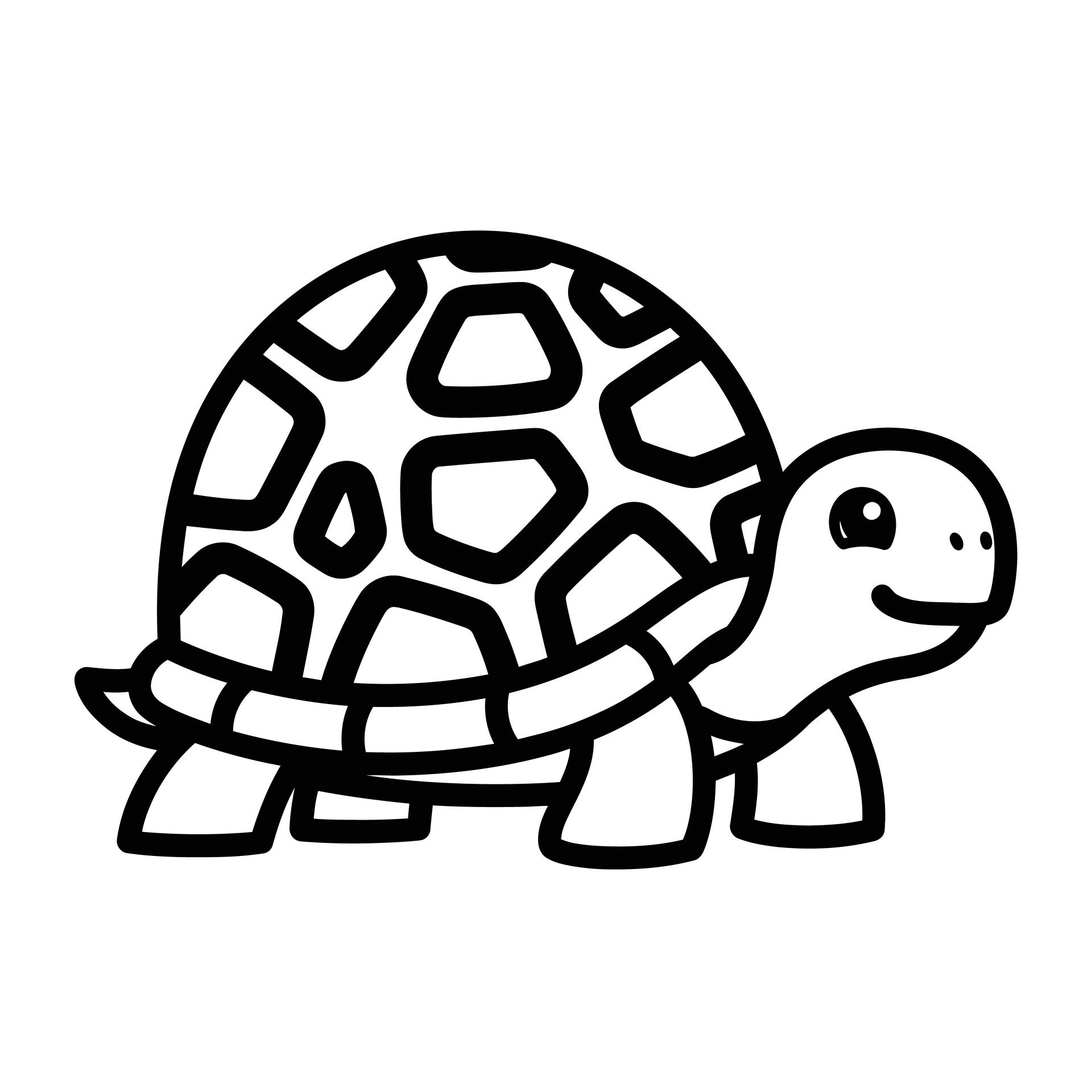 schildpad-4-standard.jpg