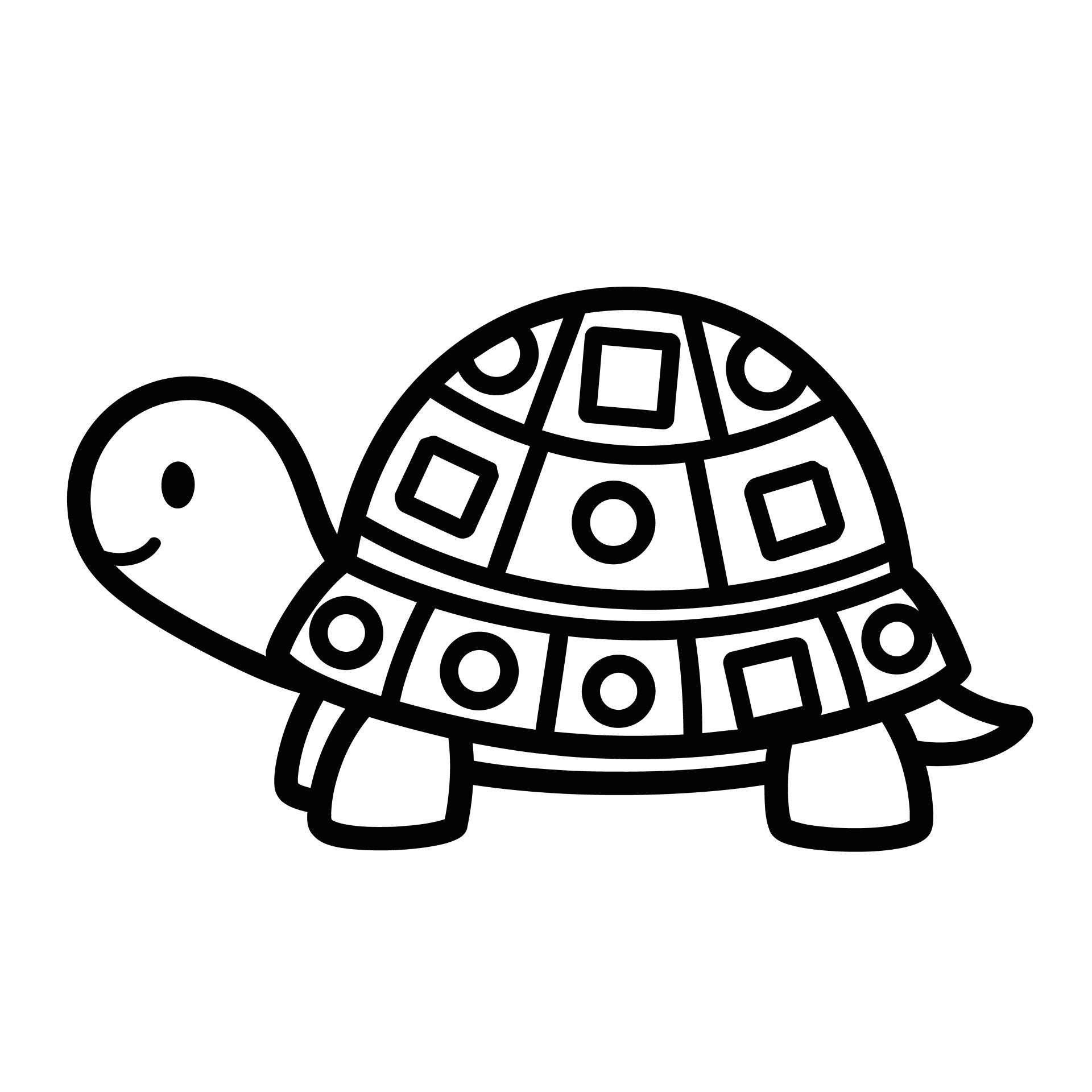 schildpad-5-standard.jpg