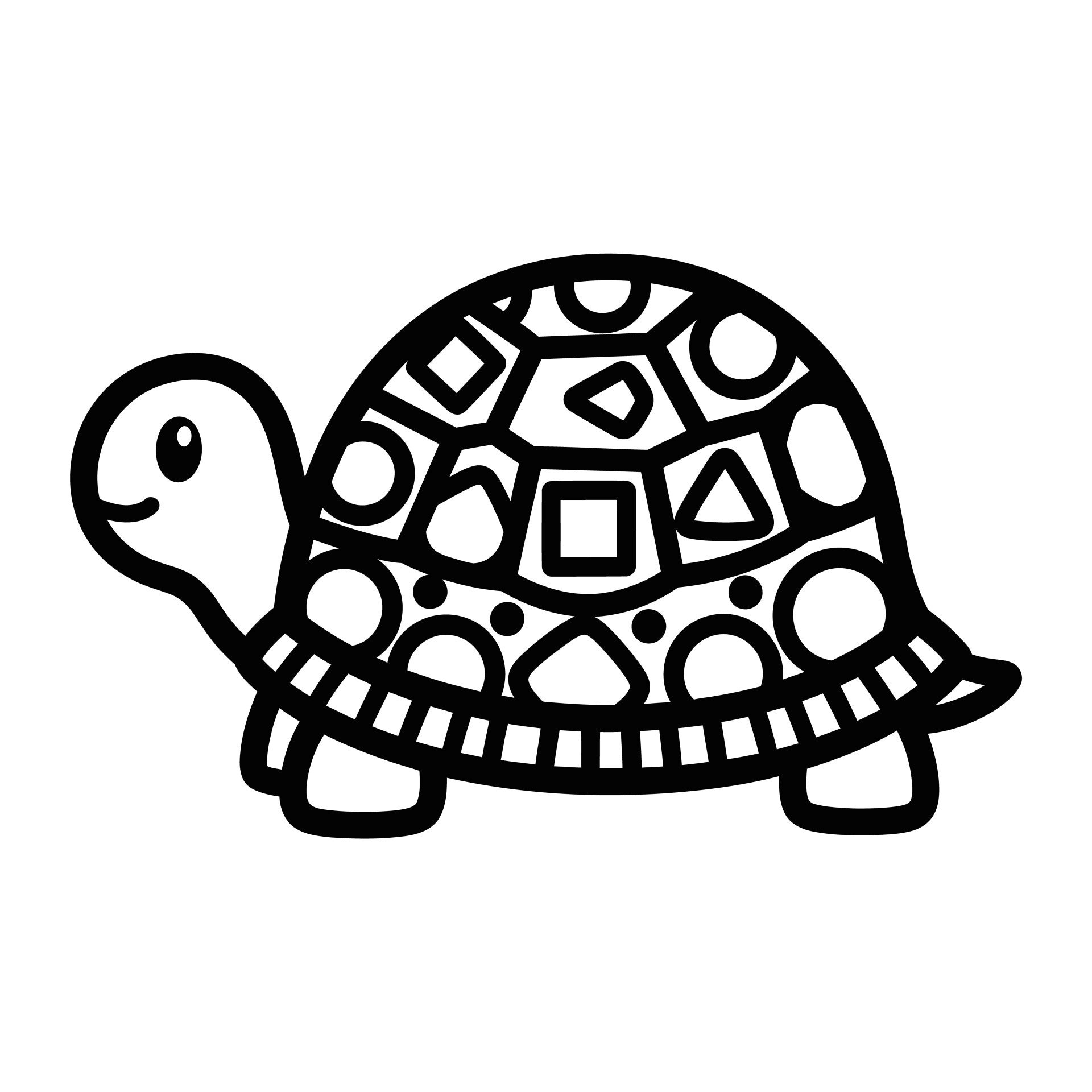 schildpad-6-standard.jpg
