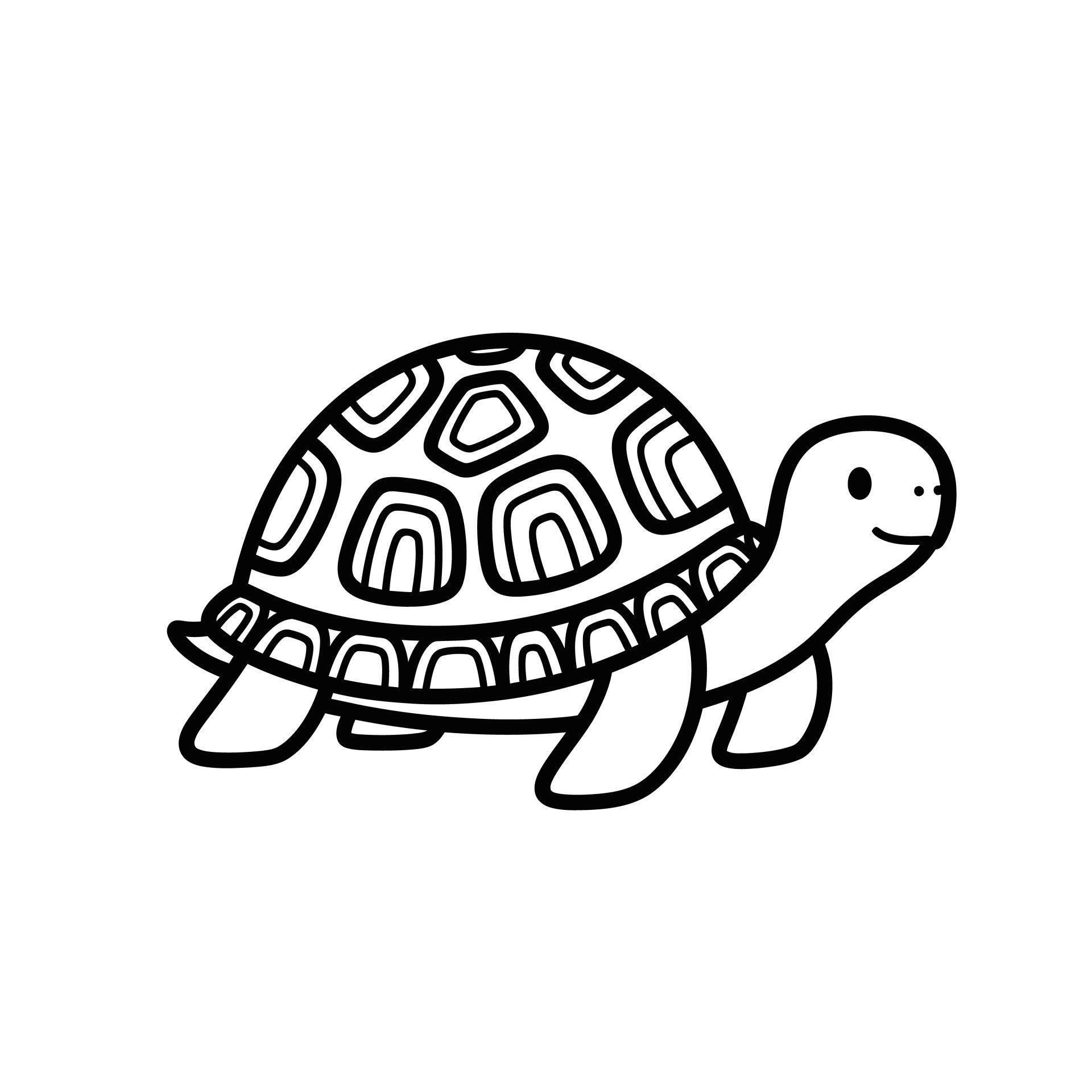 schildpad-7-standard.jpg