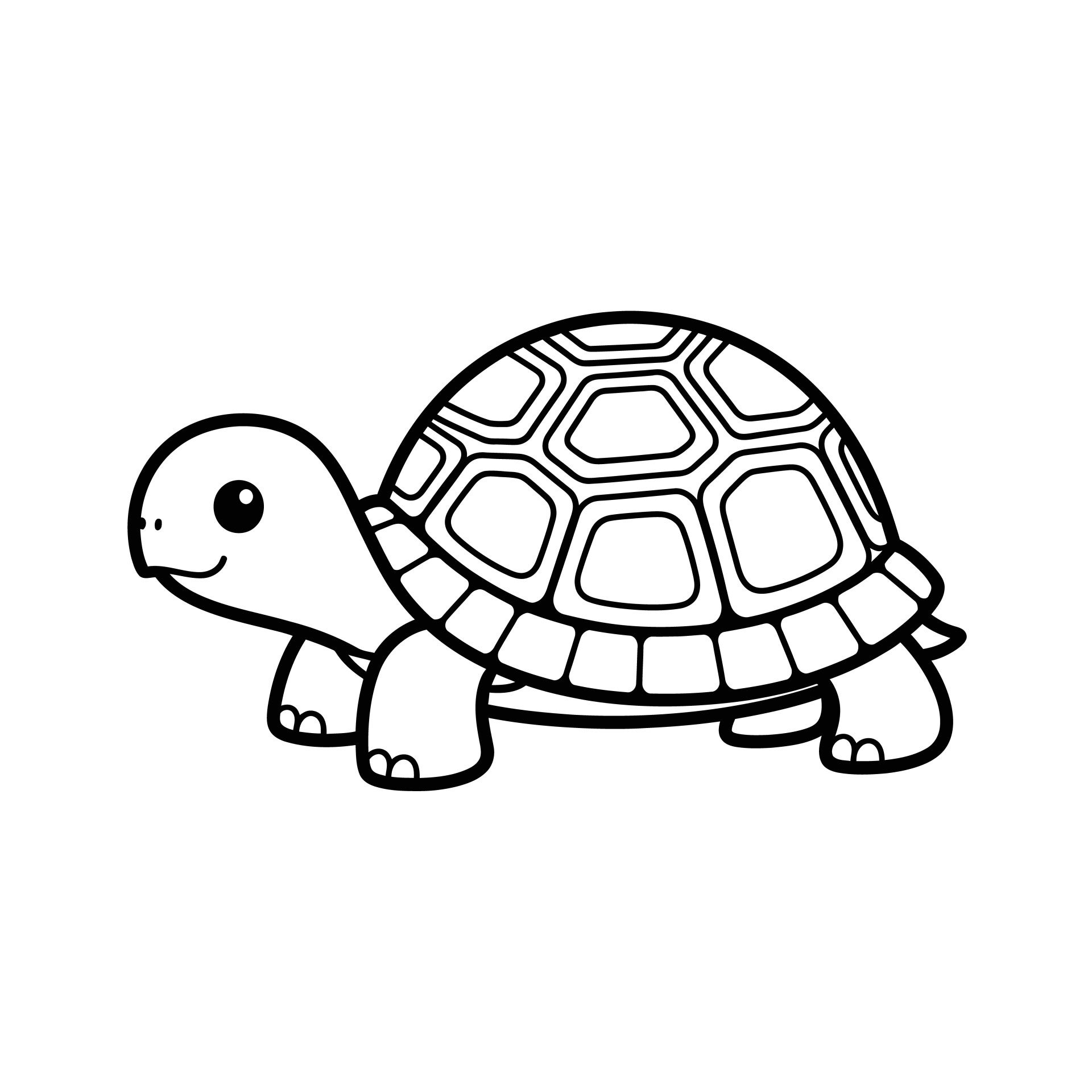 schildpad-9-standard.jpg