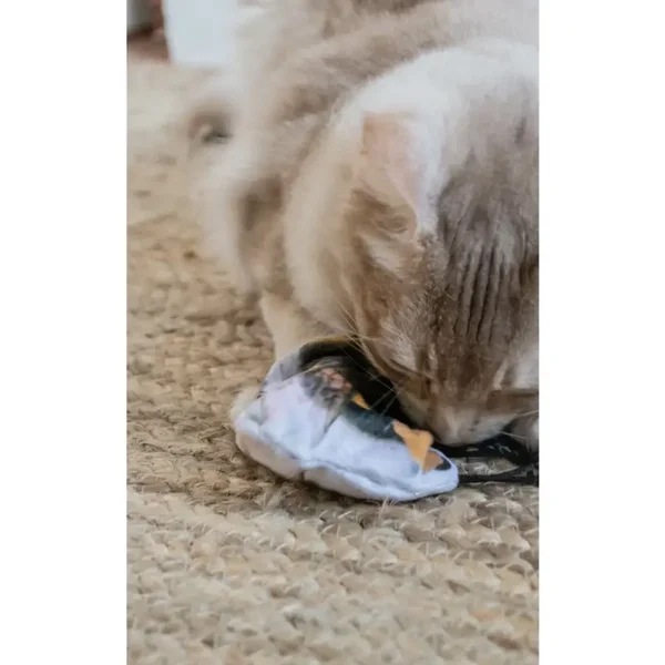 Wild Life Cat Hommel