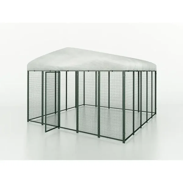 Cucciolotta Polly Run Kippenren