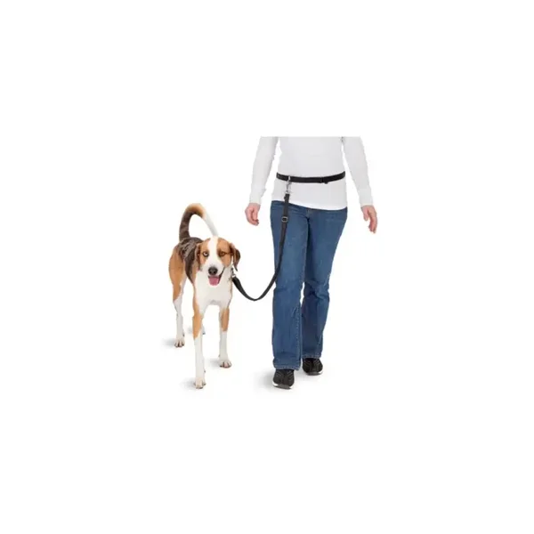 Pawise Hands Free Doggy Jogger Kit