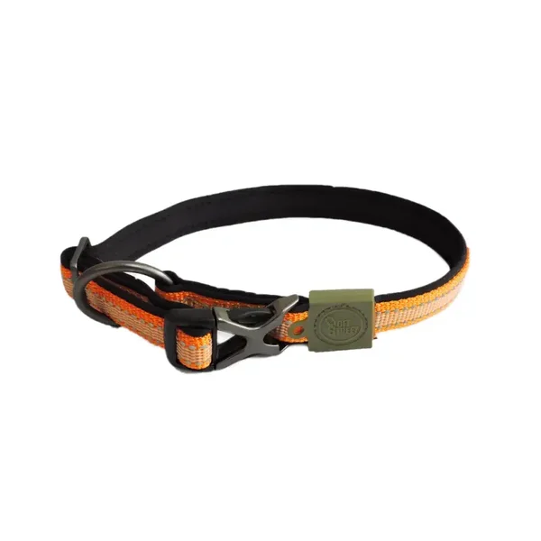 AFP Off Street - Dog Collar Mandarijn S-M of L