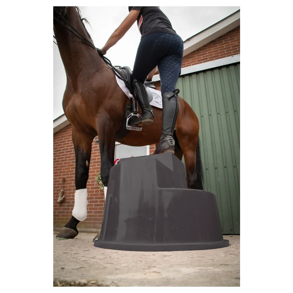 Excellent opstaphulp 3 trede Zwart