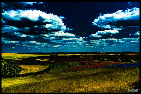 Surrealistic landscape