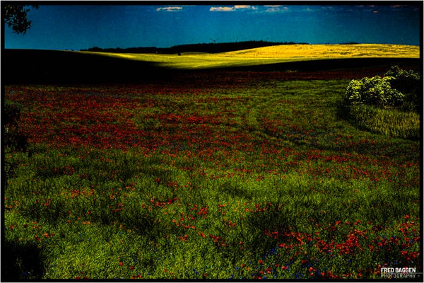 Surrealistic landscape (Kopie)