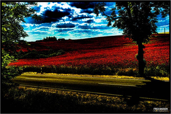 Surrealistic landscape