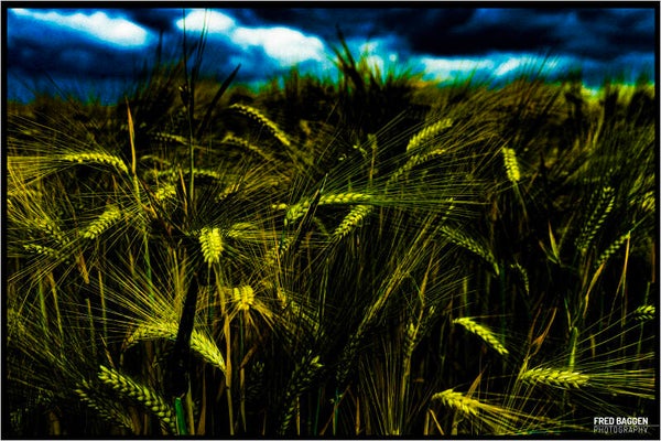 Surrealistic landscape