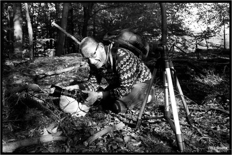 Leuvenumse Bos, The Netherlands (October 2024)