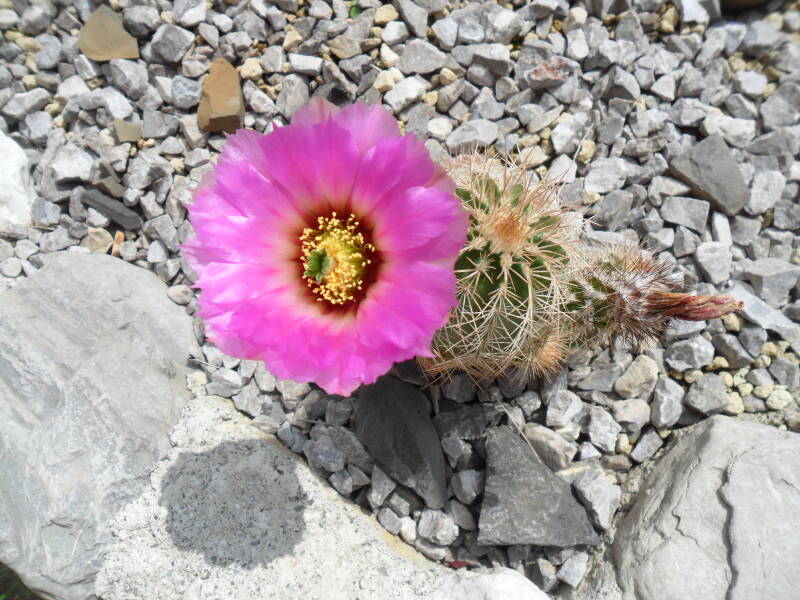 ec004_sam_4519jpg.jpg