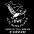 blue water flyways