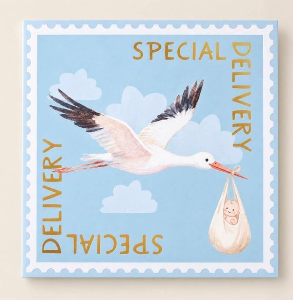 Geboortekaart "Special delivery"