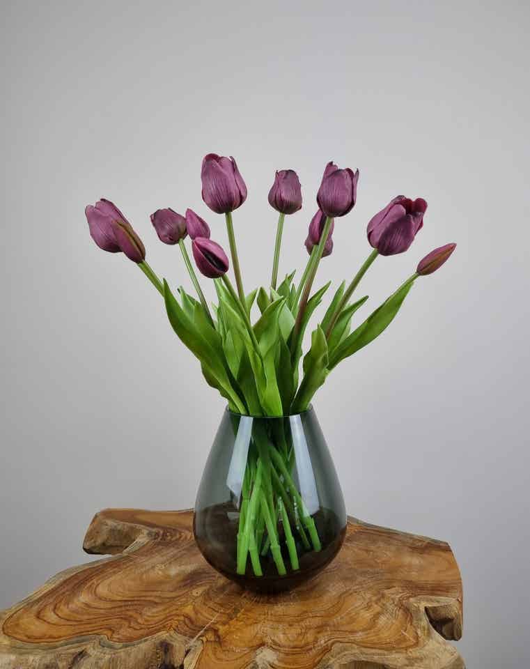 Set Tulpen Donkerpaars