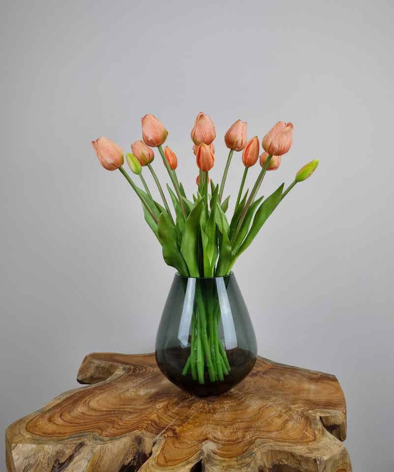 Set Tulpen Zalm
