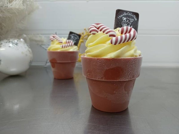 Bloempotje met limoncello sorbet