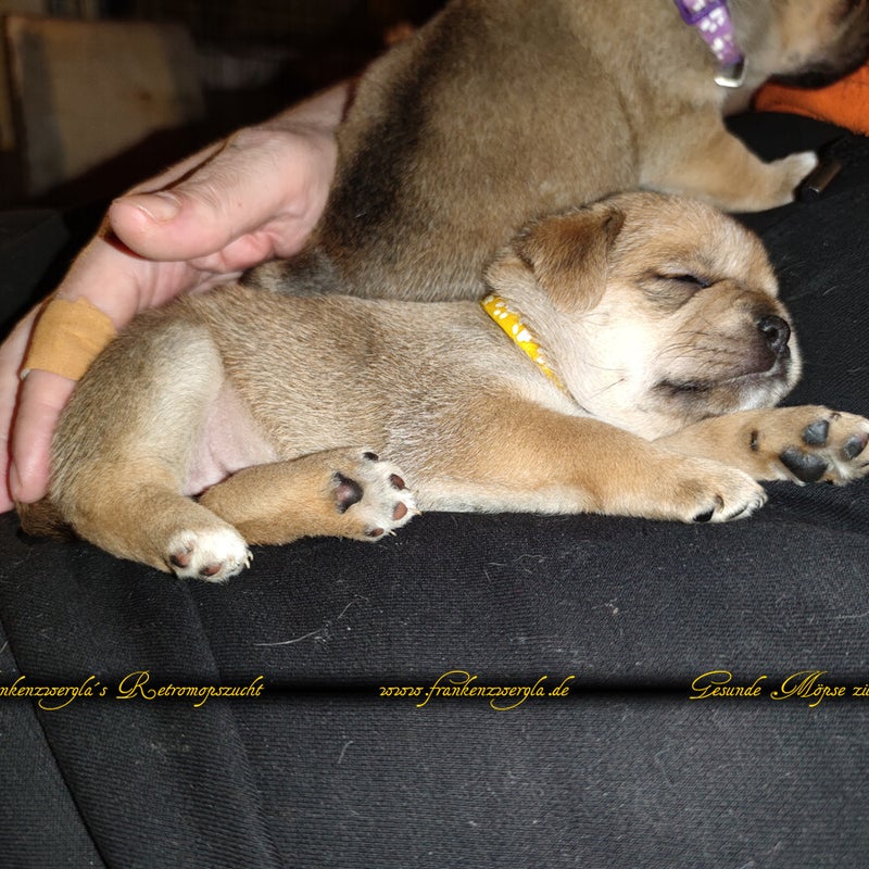 img_20221128_183158kopie.jpg