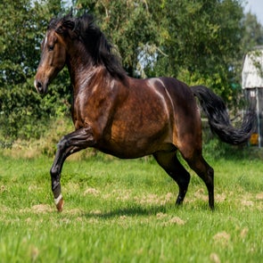 dsc_1321-kopie.jpg