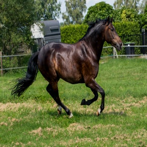dsc_1367-kopie.jpg