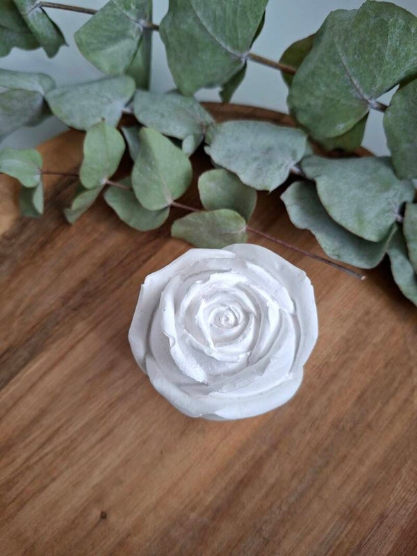 'Rose'