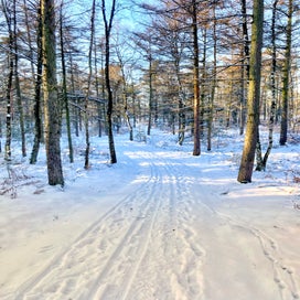 img_2138-standard-n9d8cl.jpg