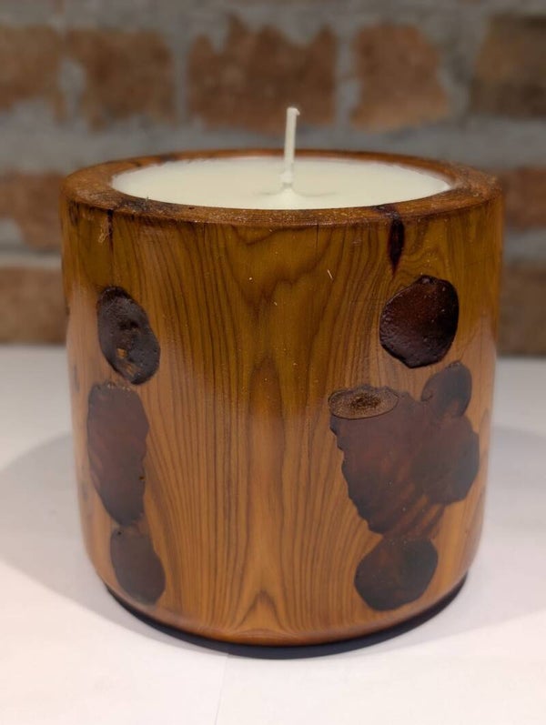 English Yew and Resin Candle