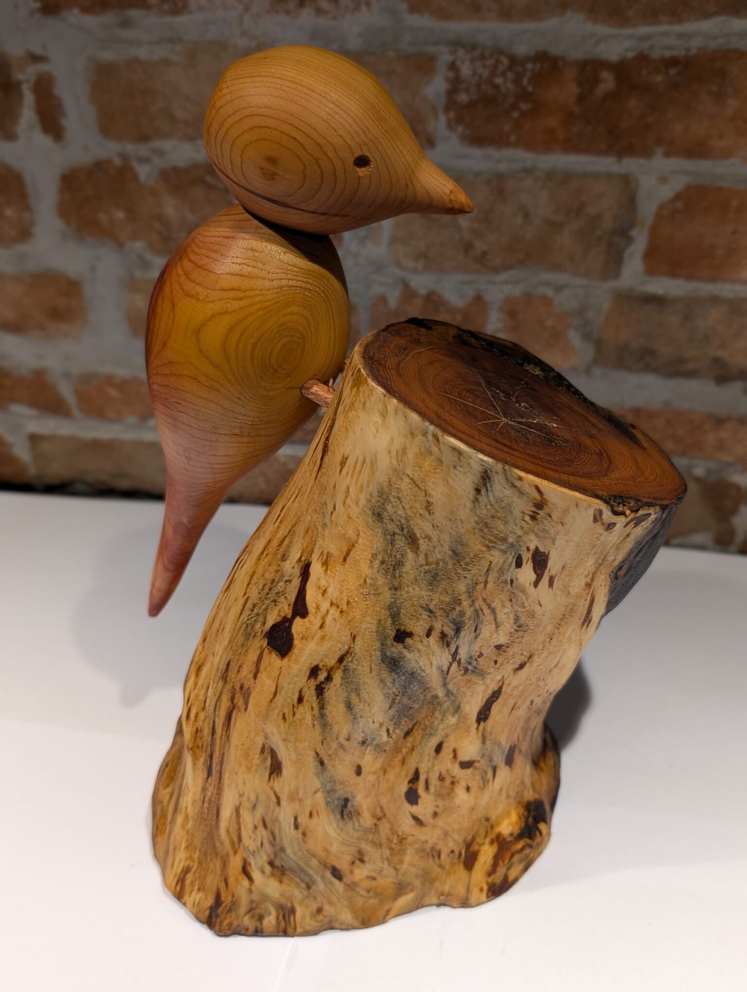 Bird on a Tree Stump