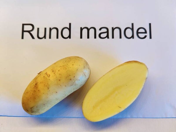 Rund mandel
