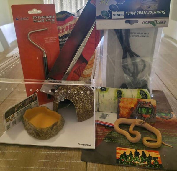 Hatchling Starter Kit