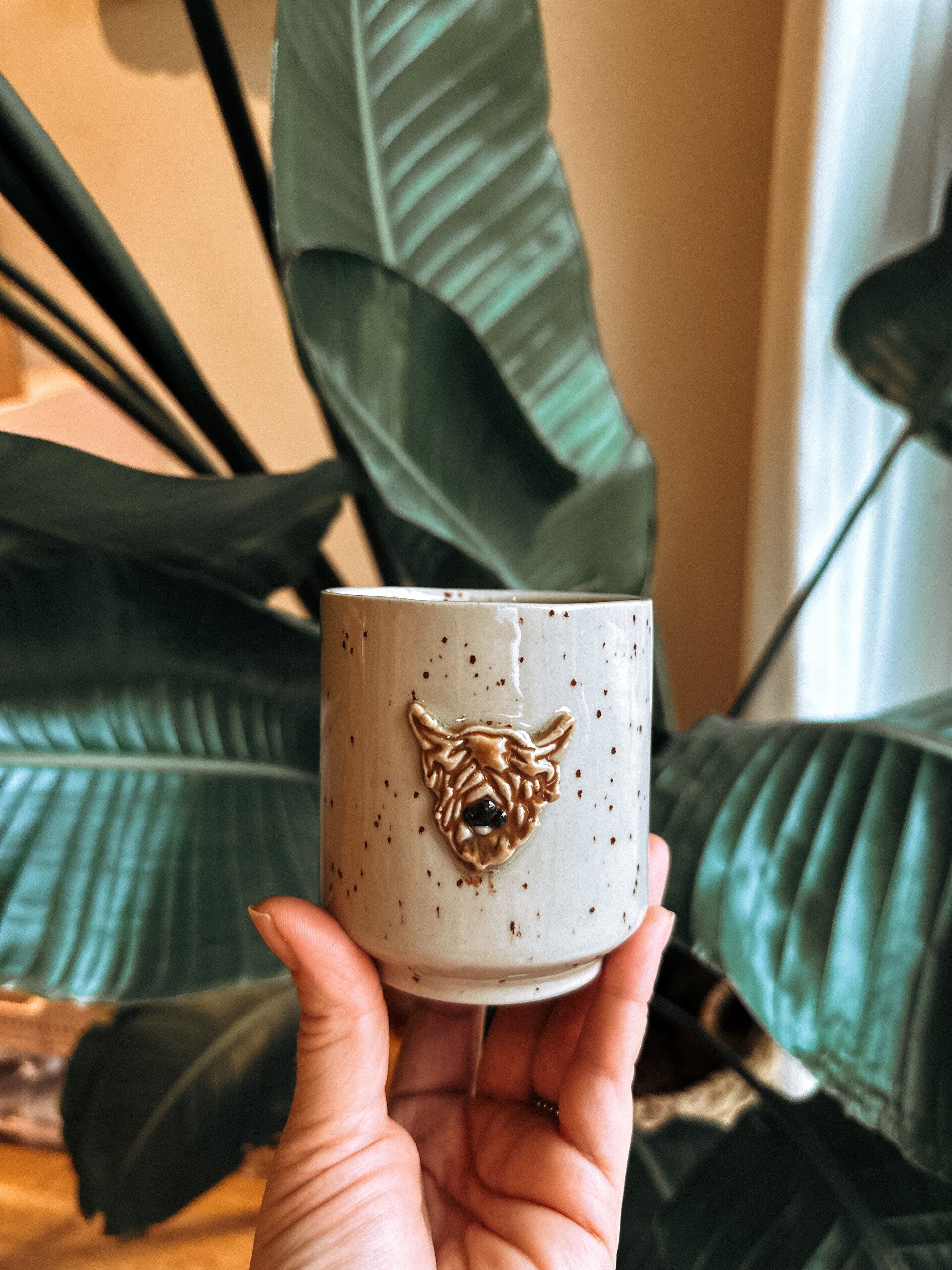 Hochland Rind 🐮 Tassen