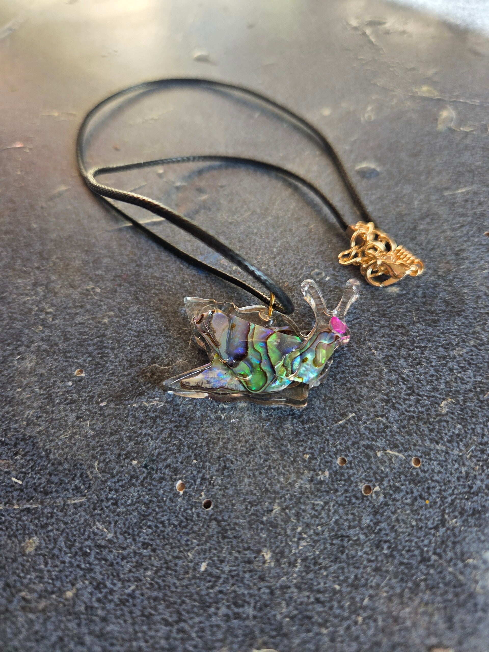Paua Snail